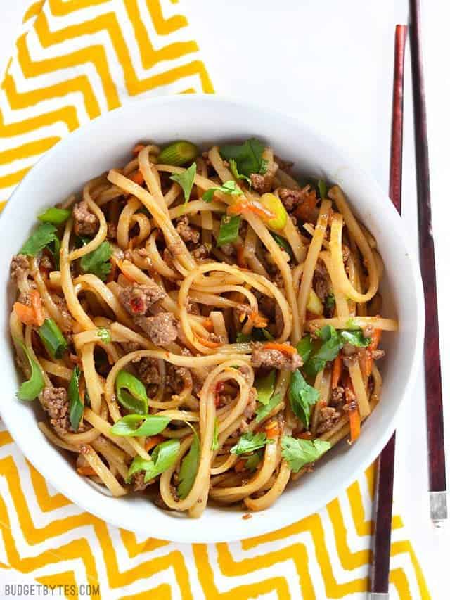 Asian Stir Fry Noodles 82