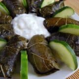 Close-up of dolmas filled with rice and herbs.