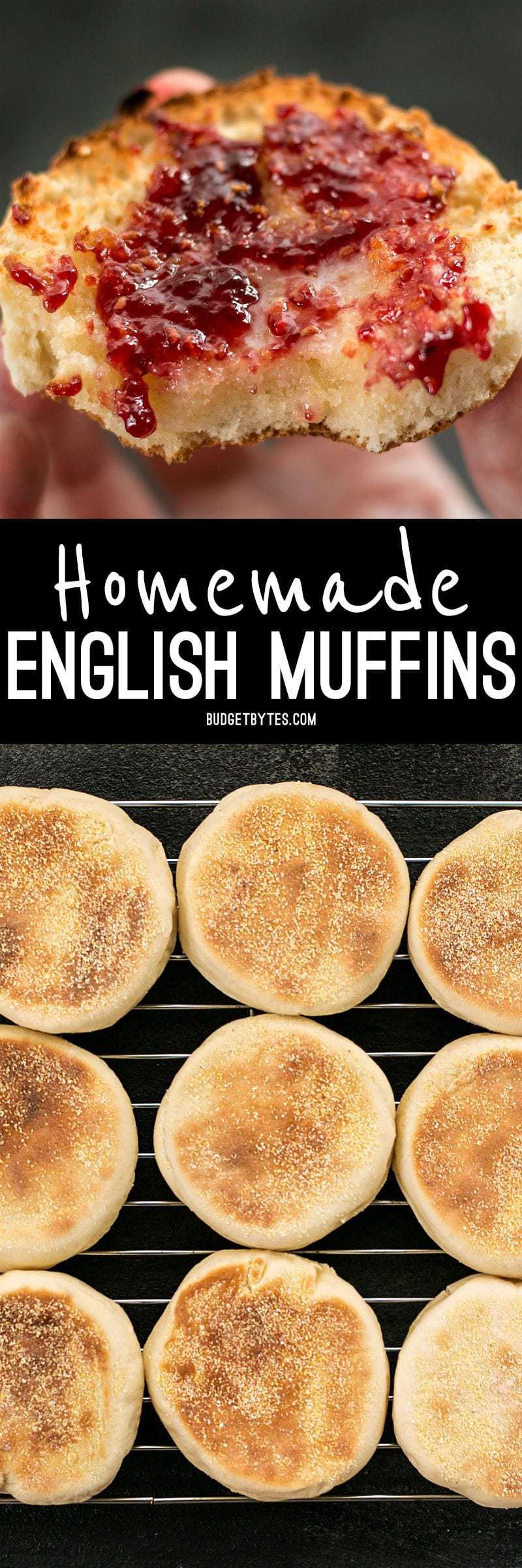 Homemade English muffins are fun to make, delicious, and cost just pennies each. Make this your next weekend project! BudgetBytes.com