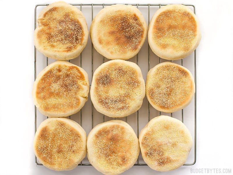 English Muffins cooling on a wire rack, from above