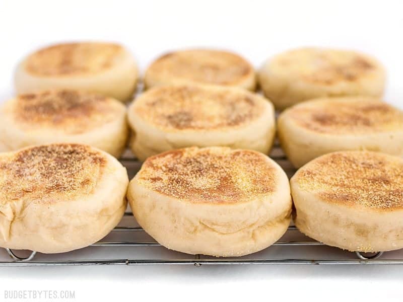 English Muffins on the cooling rack from the front