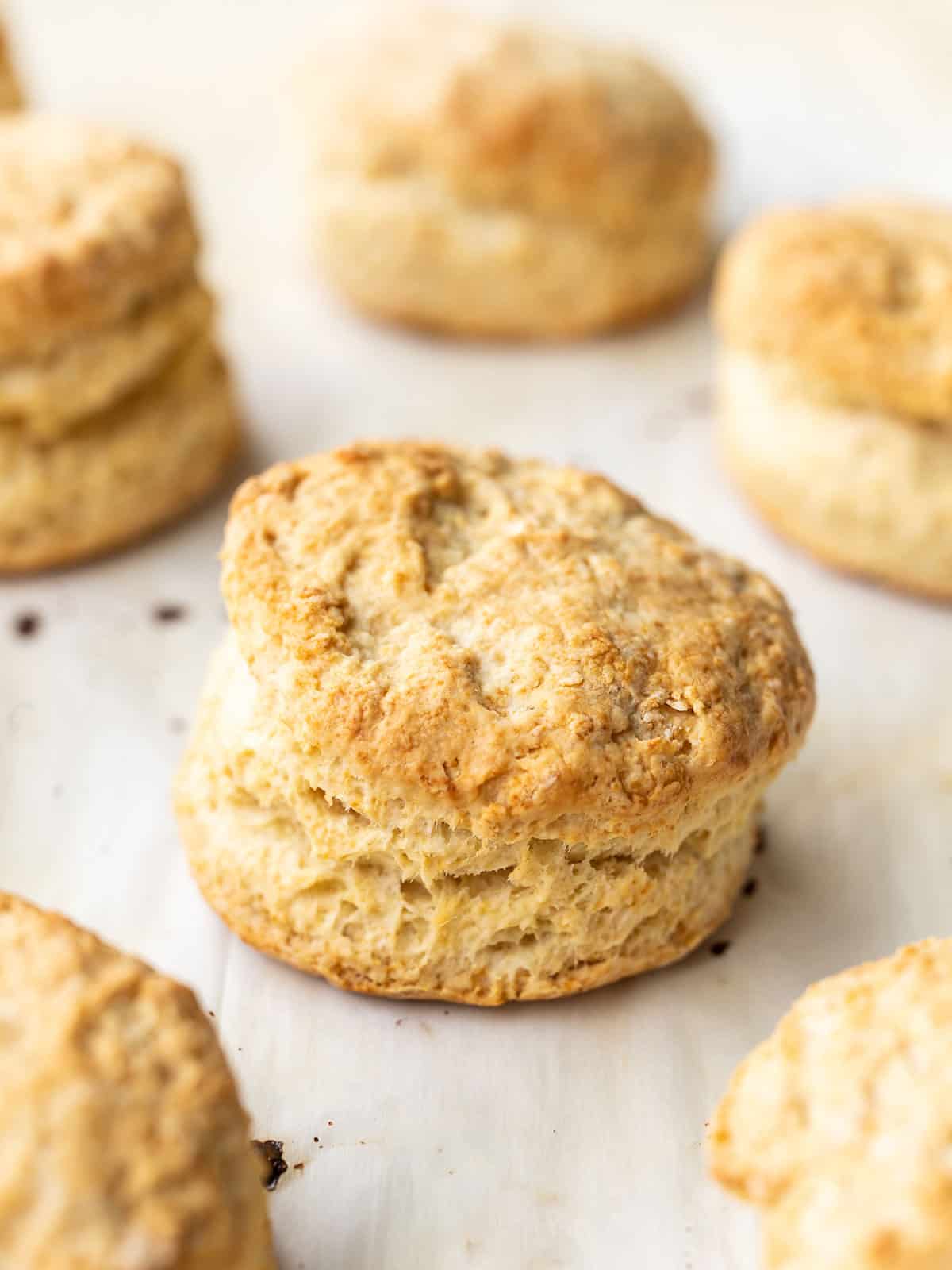 Side view of baked butter biscuits on a baking sheet close up