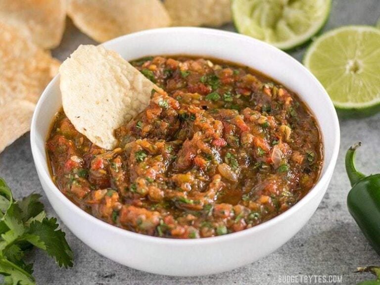 Fire Roasted Salsa Budget Bytes