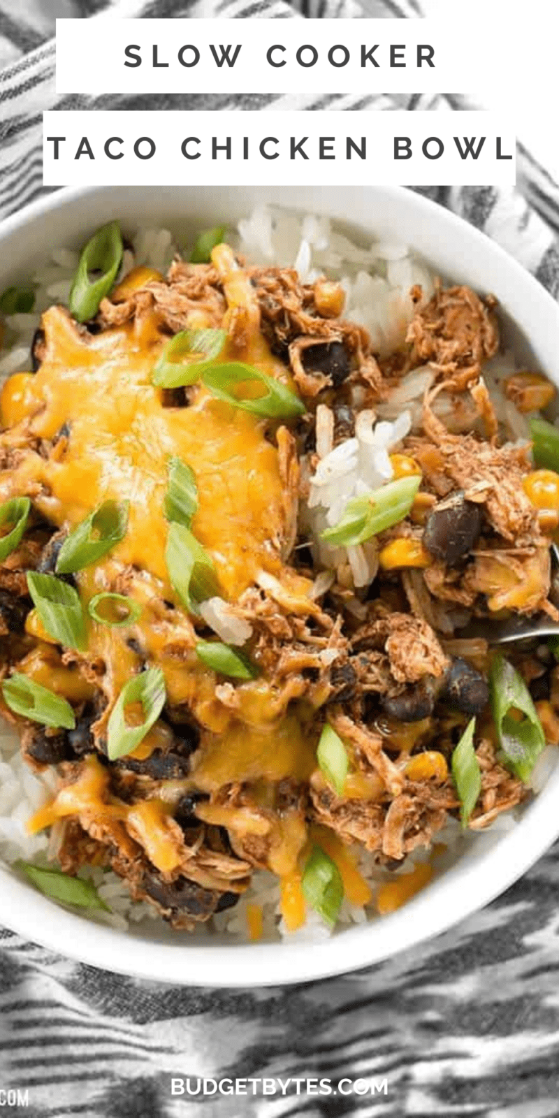 https://www.budgetbytes.com/wp-content/uploads/2011/07/Slow-Cooker-Taco-Chicken-Bowls-1-800x1600.png