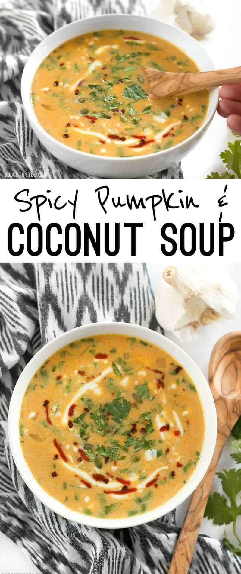 This Spicy Coconut and Pumpkin Soup is perfectly balanced with creamy coconut milk, spicy red pepper flakes and pumpkin's natural subtle sweetness. BudgetBytes.com