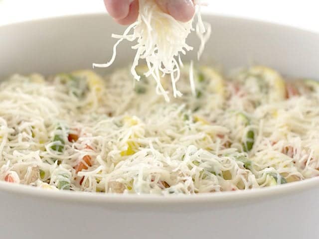 Shredded cheese being added to top of dish 