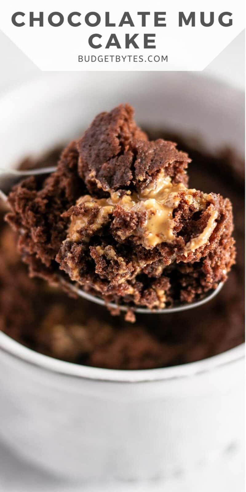 Close up of a spoonful of chocolate mug cake.