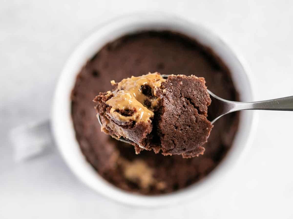 https://www.budgetbytes.com/wp-content/uploads/2012/06/The-One-Chocolate-Mug-Cake-spoon-above-2022.jpg