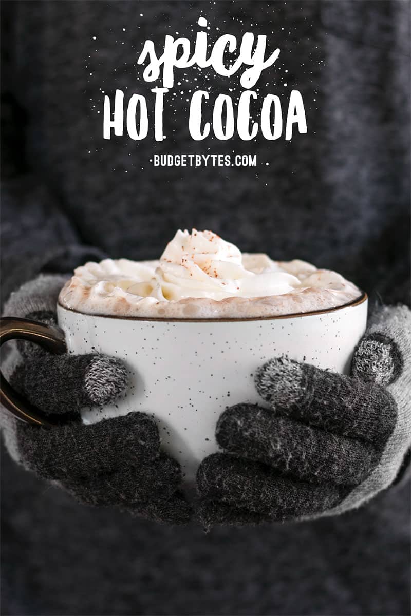 Gloved hands holding a big mug of spicy hot cocoa