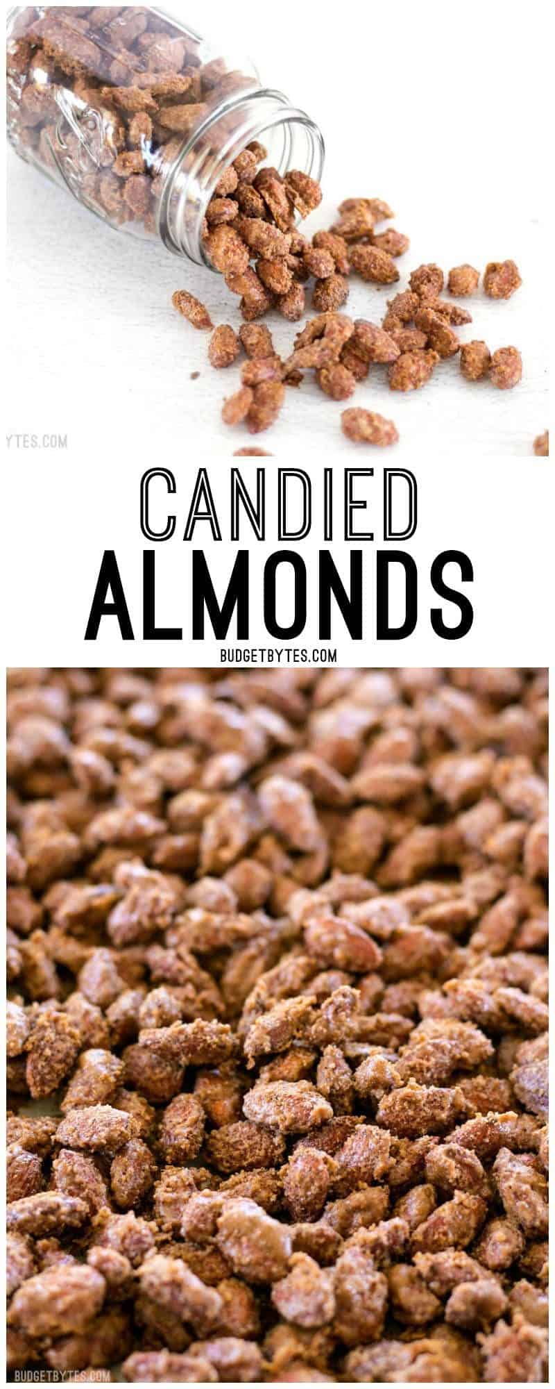 Homemade Candied Almonds are a fraction of the price of store bought and make great homemade gifts for the holidays! BudgetBytes.com