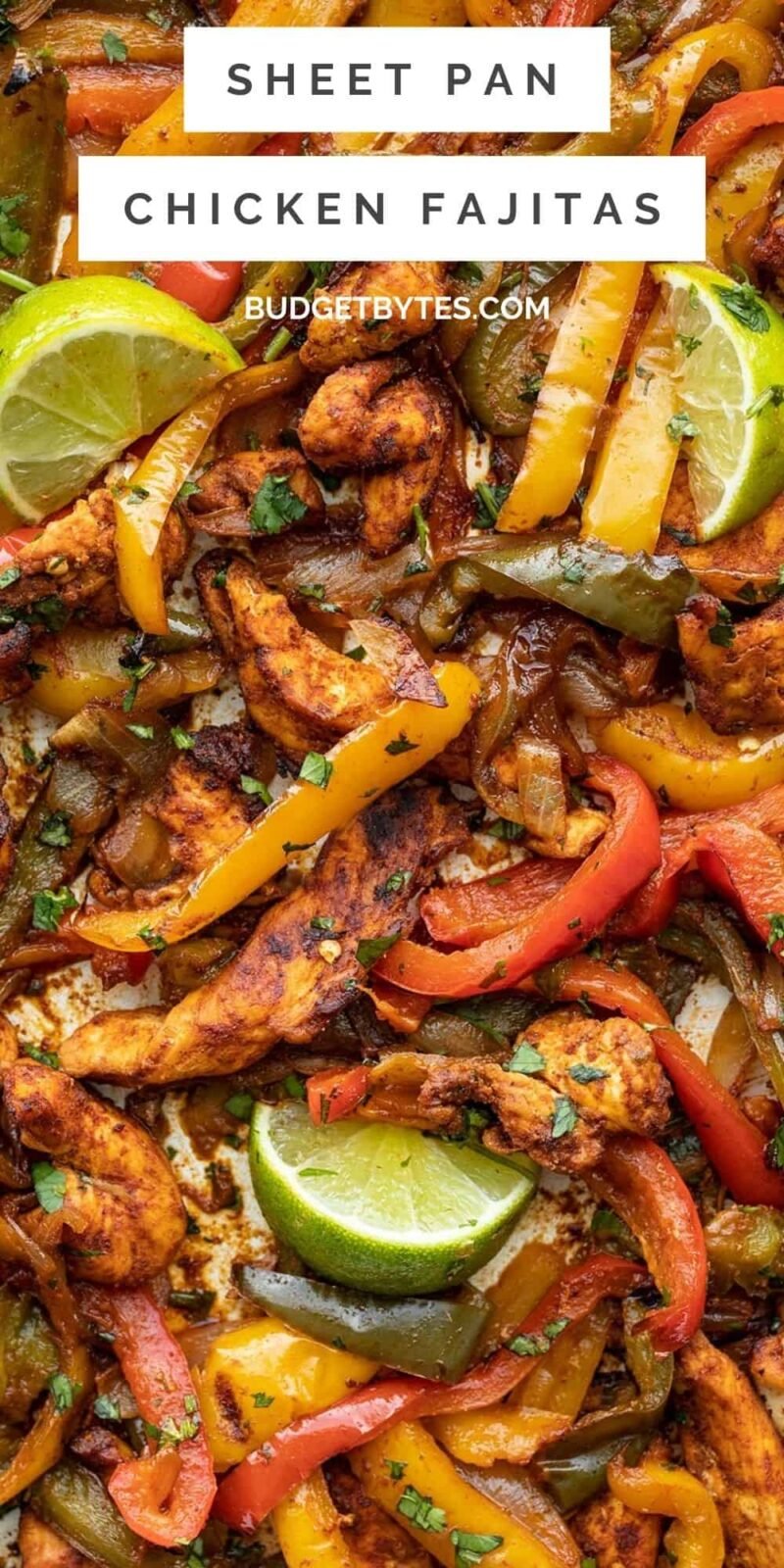 close up of fajita chicken and vegetables, title text at the top.
