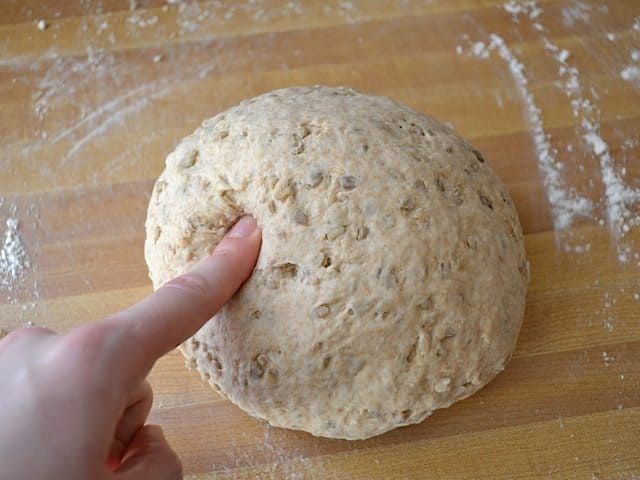 Kneaded Dough formed into ball 