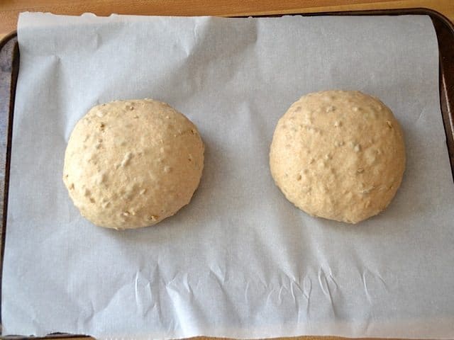 Dough divided into two loaves and placed on baking sheet lined with parchment paper 