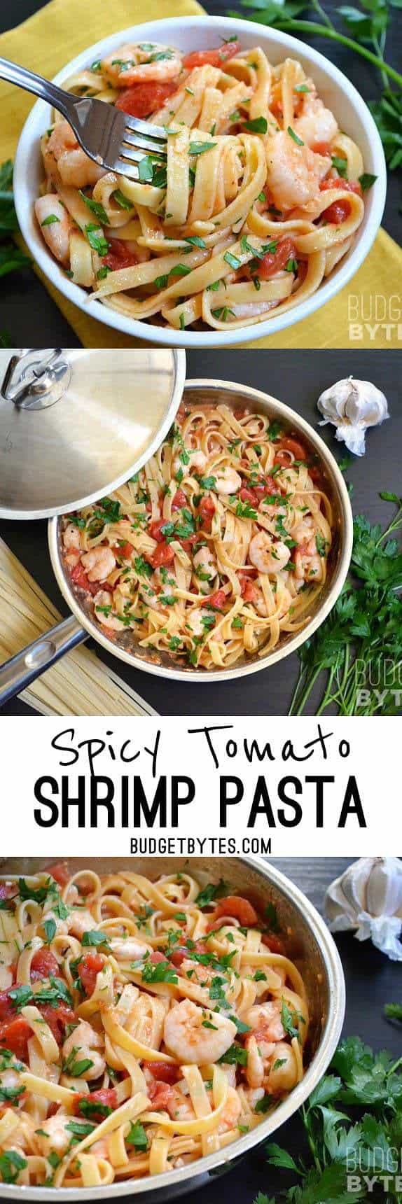 It takes less than 30 minutes to make this super flavorful and filling Spicy Shrimp Tomato Pasta. Dinner made FAST! BudgetBytes.com
