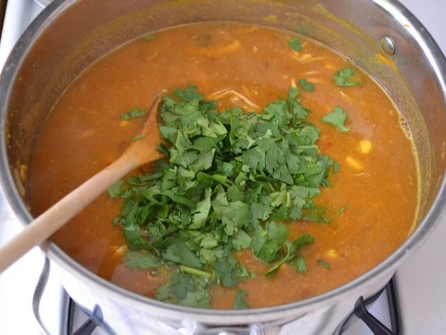 all ingredients added to pot and cilantro sprinkled on top 