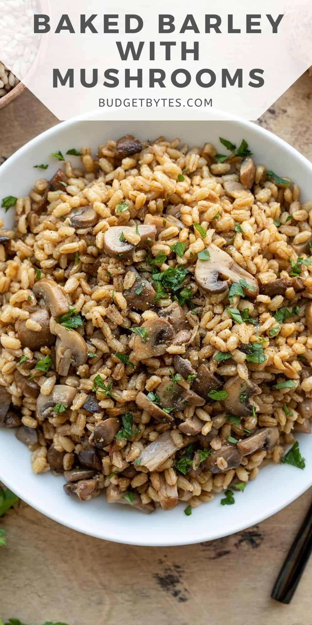 Baked Barley with Mushrooms - Budget Bytes