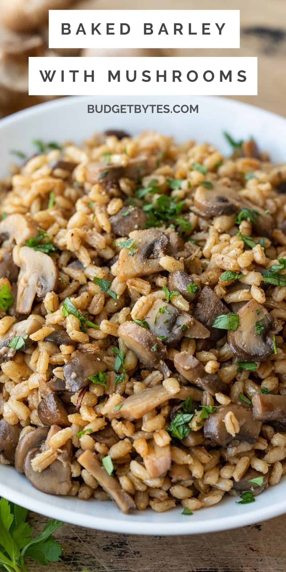 Baked Barley with Mushrooms - Budget Bytes