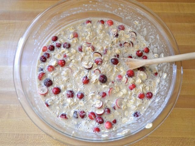 Oats and Cranberries mixed into other ingredients in mixing bowl