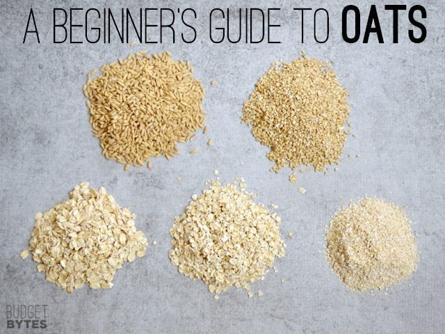 Beginner's Guide to Oats (five little piles of different oats on the counter) 