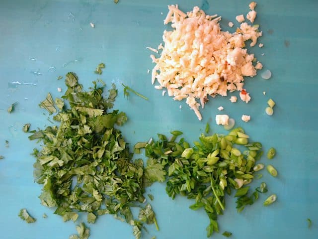 Chopped Cilantro, onions, cheese