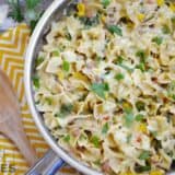 A bowl of creamy vegetarian enchilada pasta.