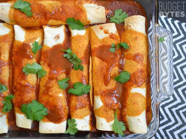 Top view of a baking dish of cooked Creamy Chicken and Black Bean Enchiladas