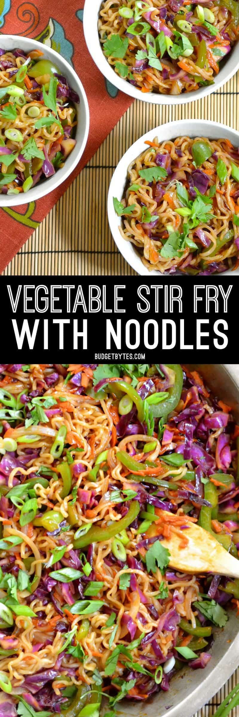 This colorful vegetable stir fry with noodles is packed with vegetables and drenched in a salty sweet sauce. Fast, easy, and customizable. BudgetBytes.com