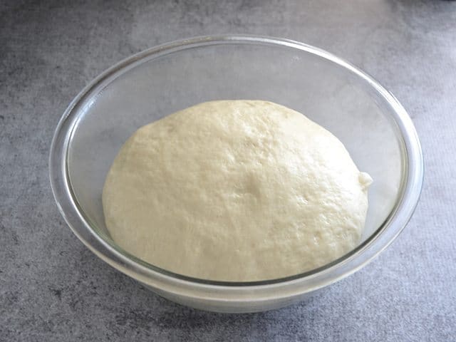 Kneaded dough ball, risen