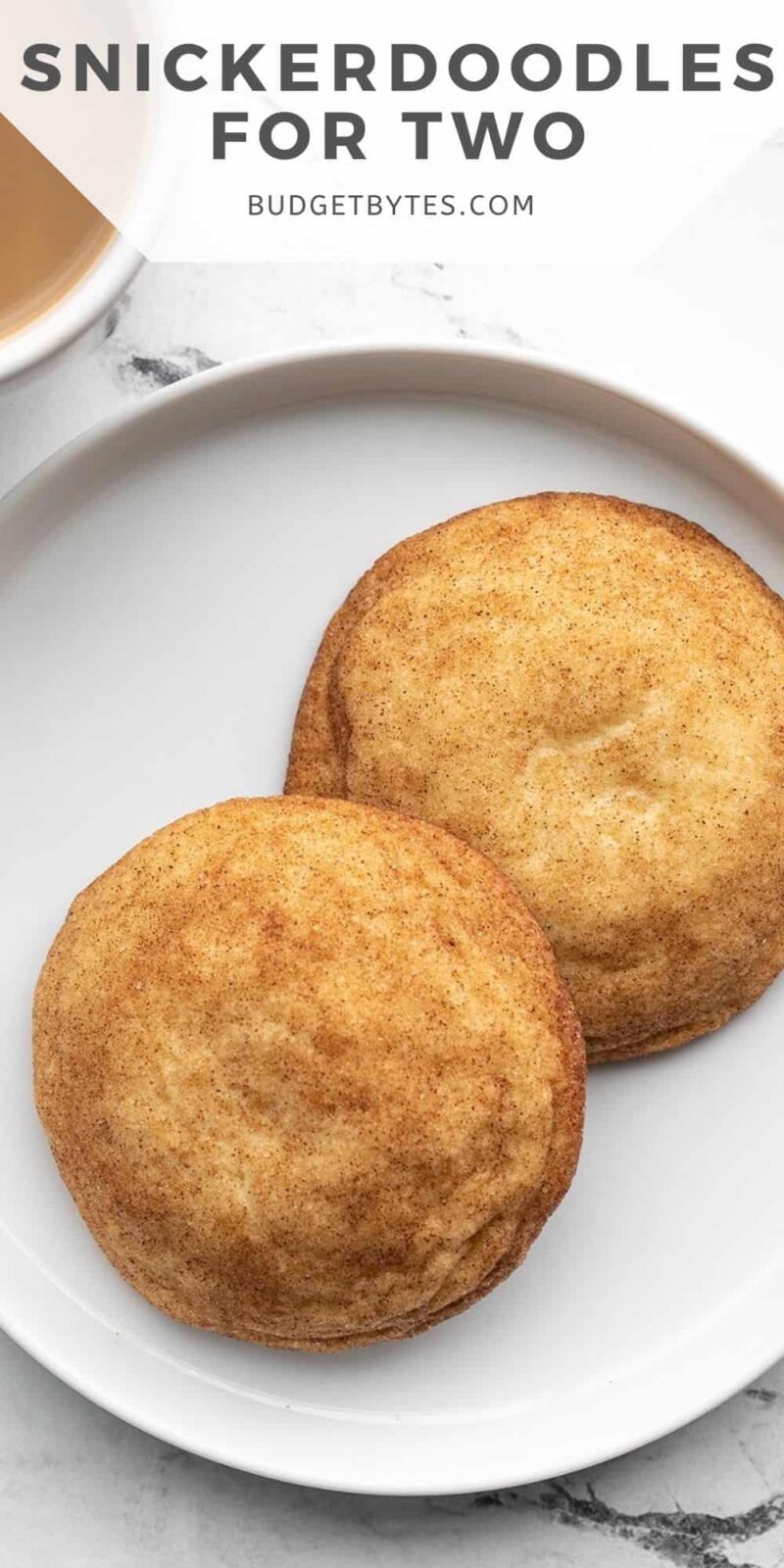 Two large snickerdoodles on a plate, title text at the top