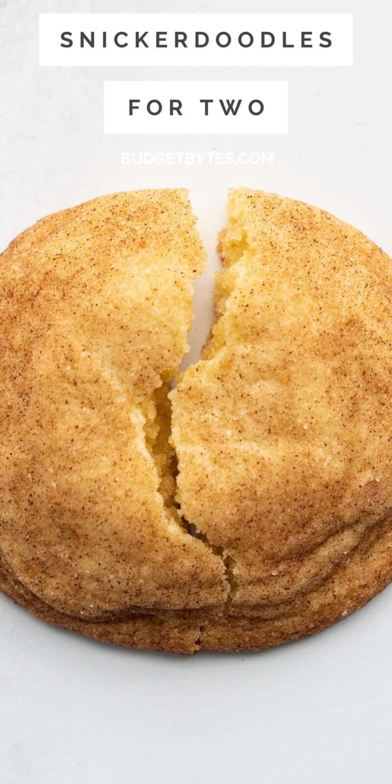 Close up of a snickerdoodle cookie broken in half, title text at the top