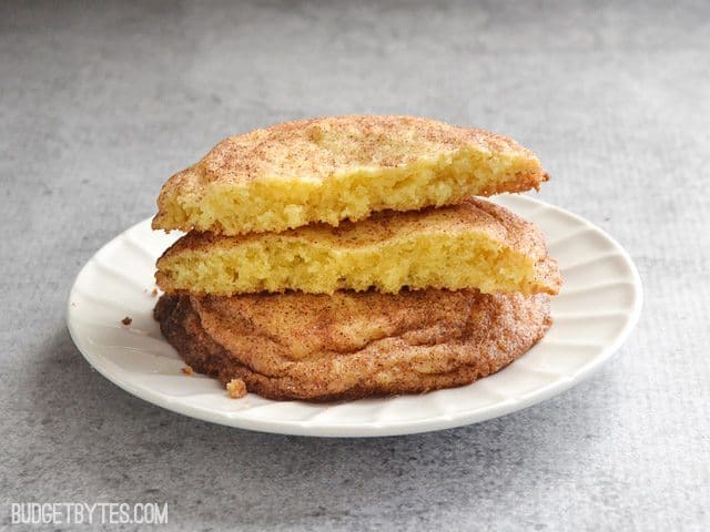 Snickerdoodles for Two - BudgetBytes.com