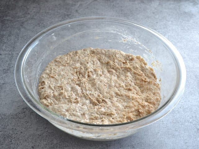 Fermented Dough in mixing bowl 