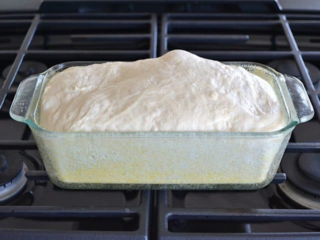 Dough risen in pan