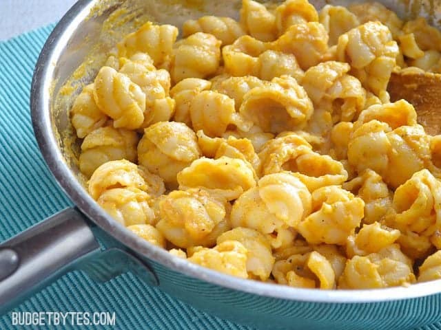 Close up of Pasta with Creamy Pumpkin Sauce 