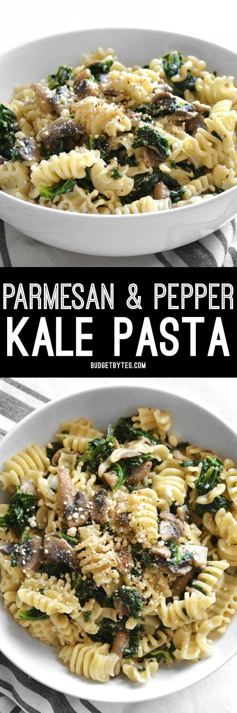 Parmesan & Pepper Kale Pasta is a quick and easy weeknight meal. Just a few ingredients transform boring pasta into a fancy meal. BudgetBytes.com