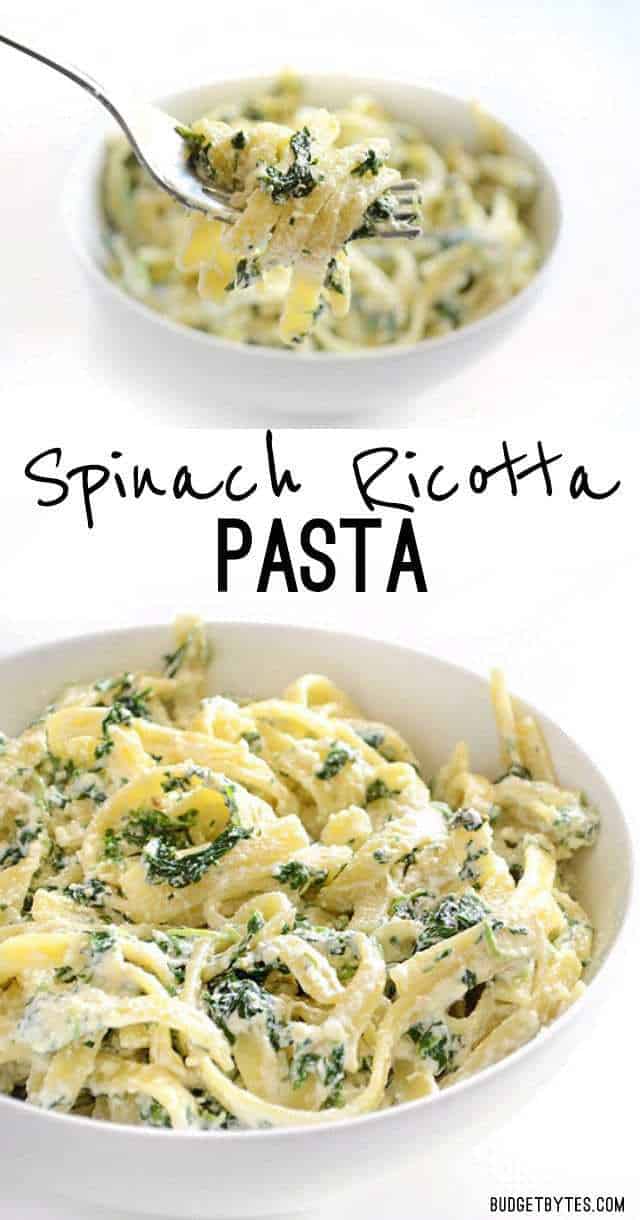 This quick and luxurious Spinach Ricotta Pasta boasts a creamy and garlicky spinach sauce made easy with ricotta cheese. BudgetBytes.com