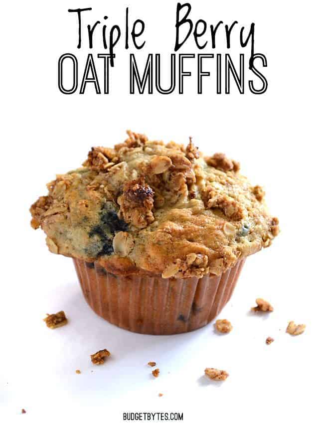 One single oatmeal muffin on a white surface, title text at the top