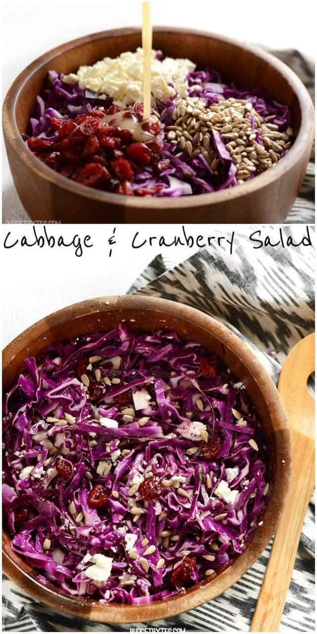Cabbage and Cranberry Salad - BudgetBytes.com