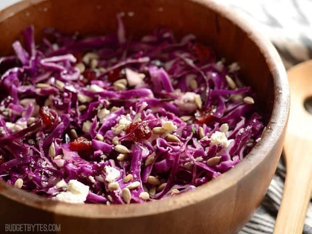 Cabbage and Cranberry Salad - BudgetBytes.com