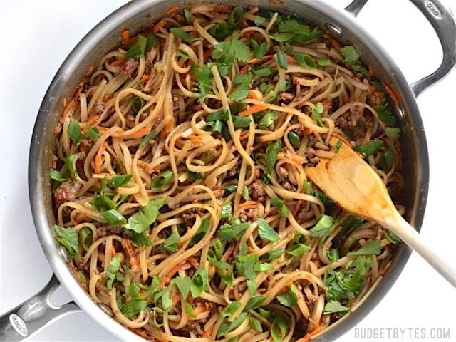 Beef and noodle stir fry topped with cilantro and green onion