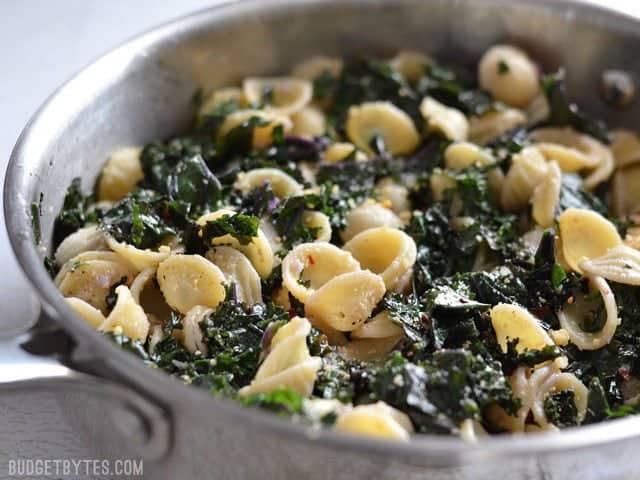 Garlic Parmesan Kale Pasta - BudgetBytes.com
