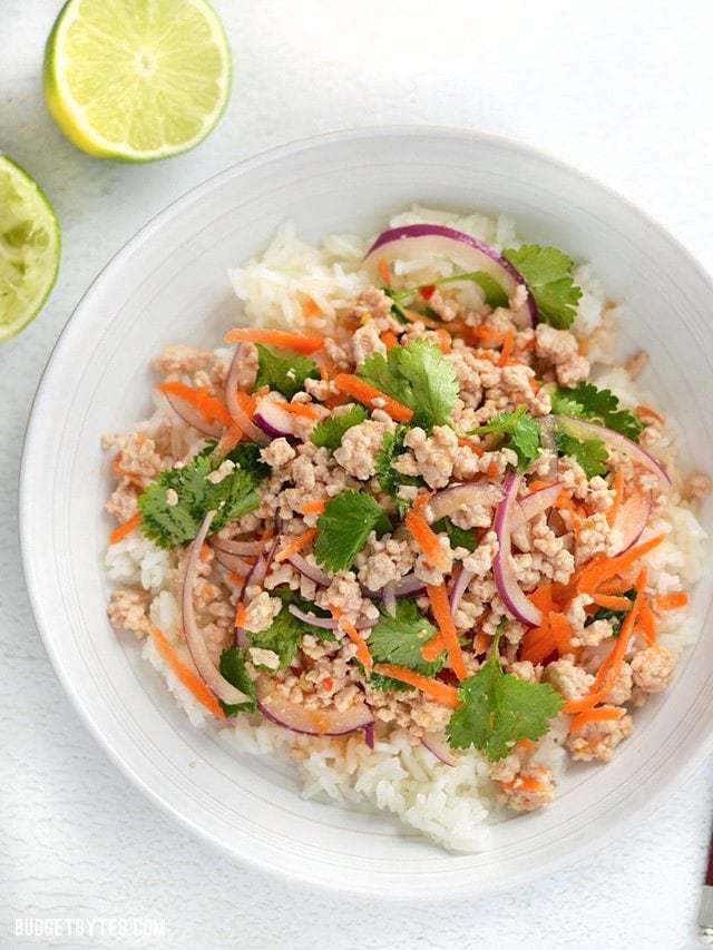 A bowl of Nam Sod served over rice, garnished with red onion and cilantro