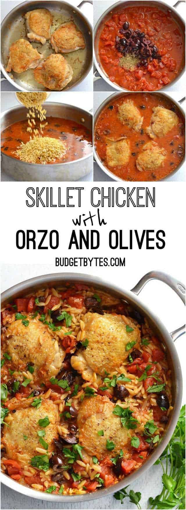 Skillet Chicken with Orzo and Olives - BudgetBytes.com