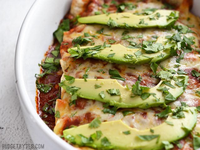These easy Bean and Cheese Enchiladas are anything but boring. A few extra details take them from a simple to spectacular weeknight dinner. BudgetBytes.com Close up front view of a casserole dish full of weeknight bean and cheese enchiladas