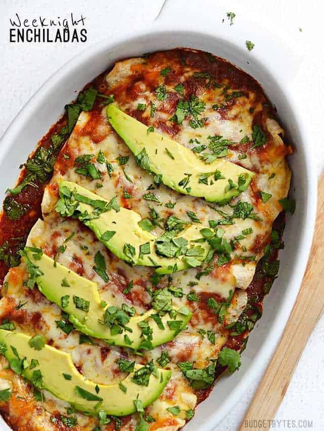 A white oval casserole dish filled with enchiladas, smothered with red sauce and garnished with fresh avocado and cilantro.