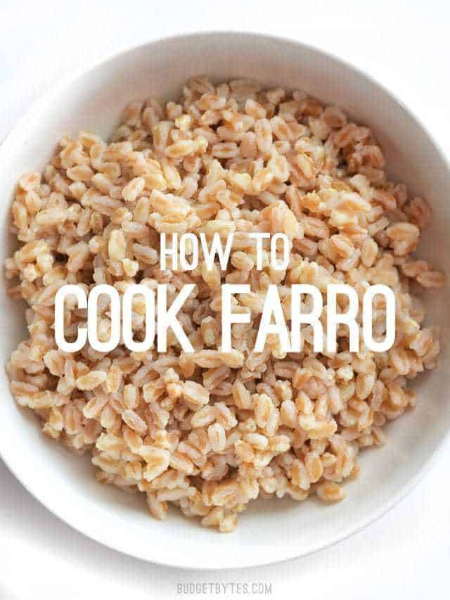 This short tutorial takes you through the basics of how to cook farro, plus a few facts about this versatile, chewy, and flavorful grain. Budetbytes.com Overhead view of a bowl full of plain cooked farro, with "how to cook farro" text overlay in the center