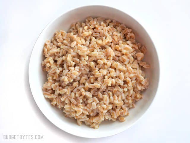 Overhead view of a bowl full of plain cooked farro