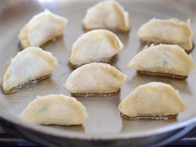 Gyoza being fried in a skillet