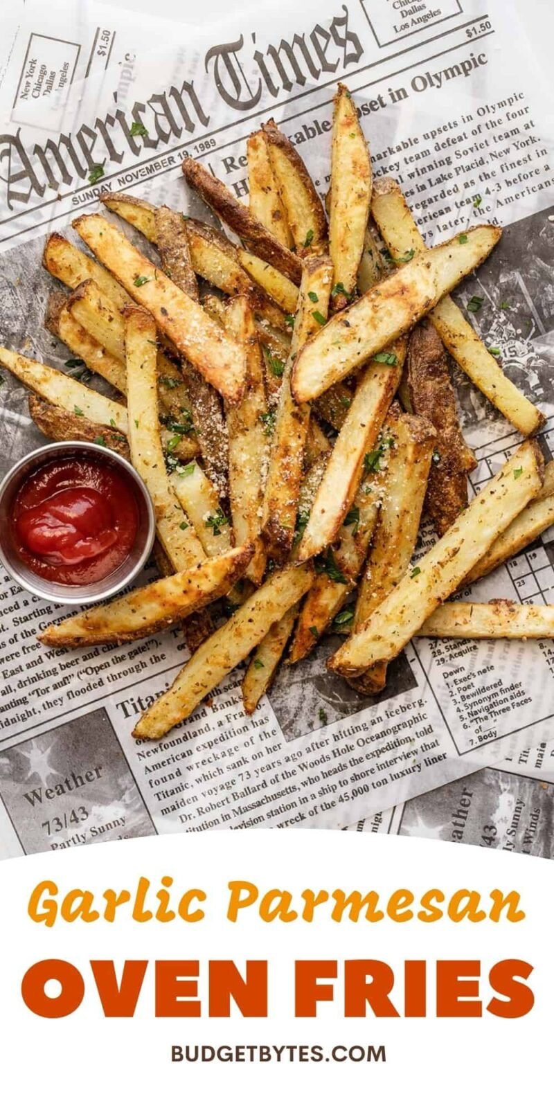 Garlic Parmesan Fries in a pile on newsprint with a dish of ketchup