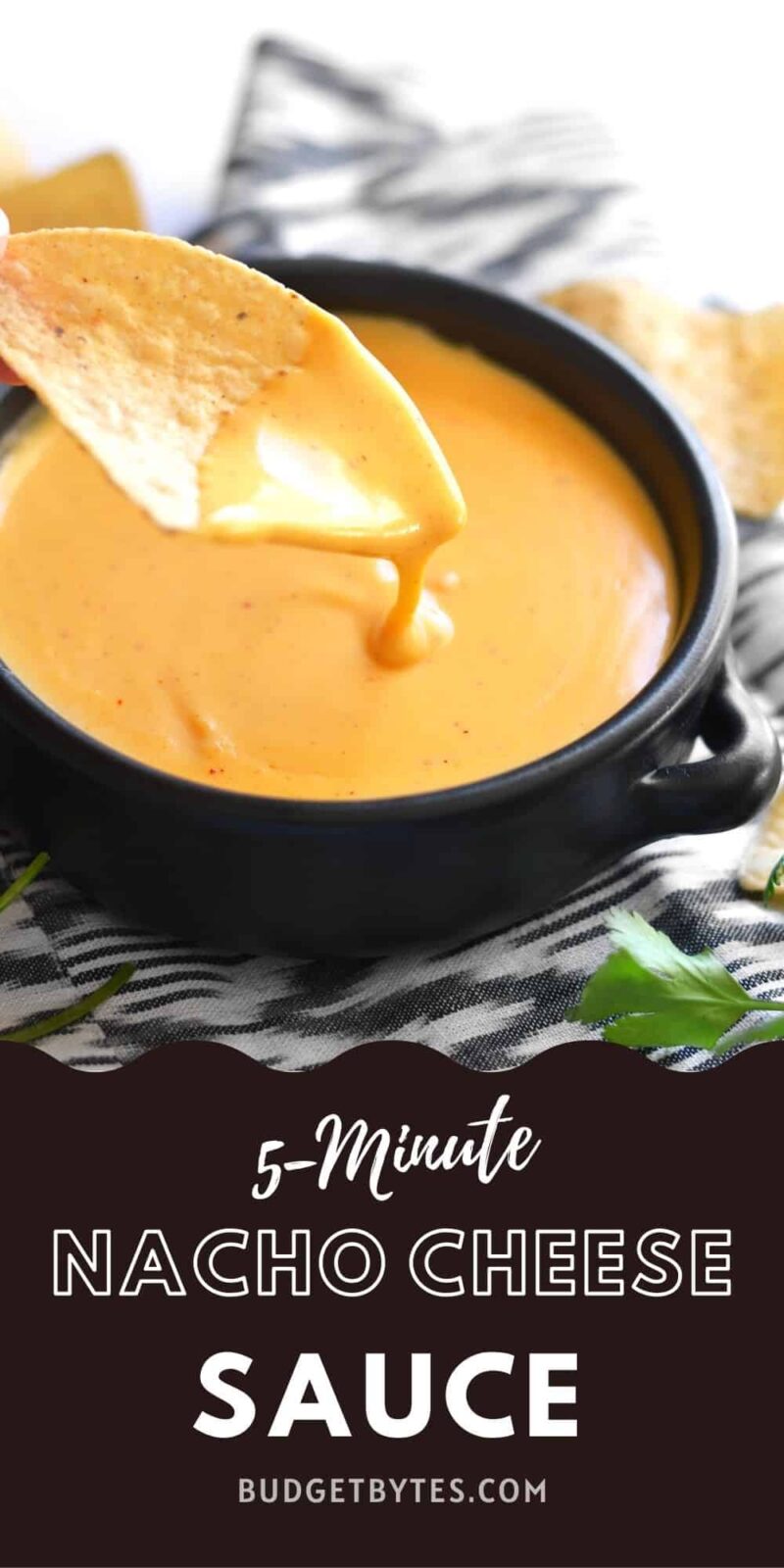 Nacho Cheese Sauce Recipe - The Cookie Rookie®